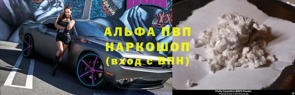 альфа пвп Заводоуковск