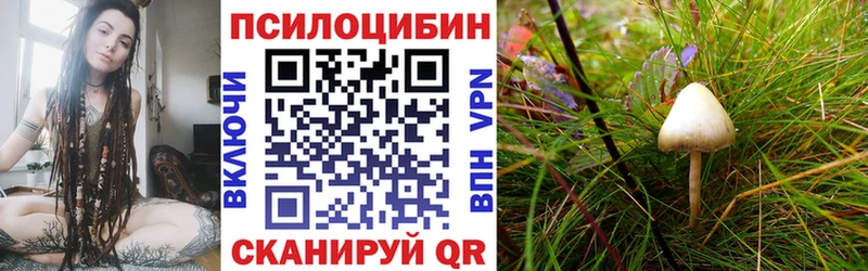 Купить где  Бирюсинск  Псилоцибиновые грибы ЛСД 